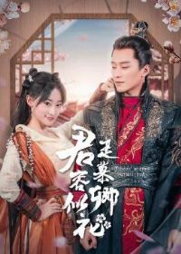 ����Ľ�����ƻ�