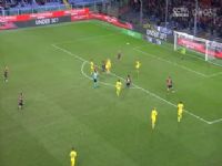 ��� ������vsά���� (����) 20231110