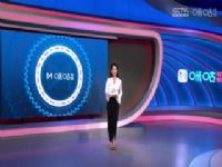 Ӣ������ ����˹ά��VS���� 20241125