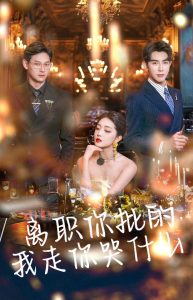 ��ְ�������������ʲô