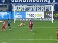 �¼����� RB������VS˹ͼ���� 20251101